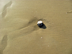 Stone on a beach in Santa Barbara